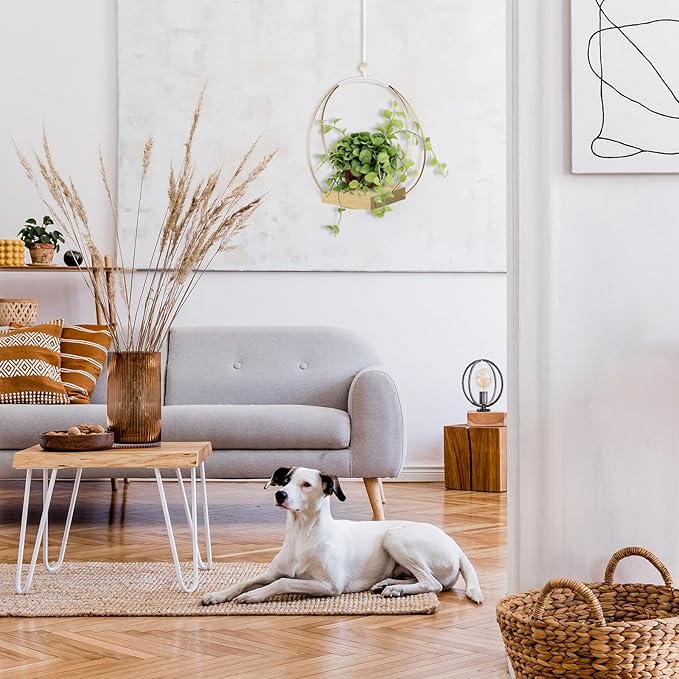 Hanging Planters for Indoor Plants - Plant Hanger Outdoor, Metal Plant Hanger Mid Century Boho Macrame, Hanging Wall Ceiling Window, Gift for Mom, Plant Lovers, Housewarming