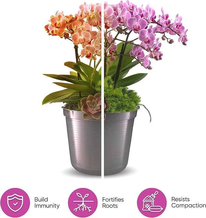 Molly's Orchid Mix - Premium Soilless Potting Mix for Orchids - Contains Bark, Coco Chips, Akadama, Pumice, Lava Rock 10 Dry Quarts