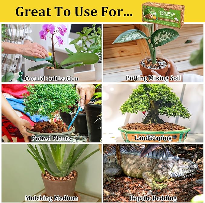 Riare 6 Pack Coco Chips Substrate for Plants- 6.6lb 100% Organic Coconut Husk Brick with Low EC and pH Balanced, High Expansion Coconut Substrate Coco Husk Mulch for Garden Flowers, Herbs, Planting