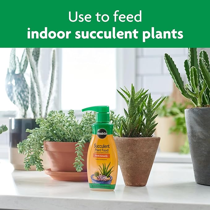 Miracle-Gro Succulent Plant Food, 8 oz., For Succulents including Cacti, Jade, And Aloe