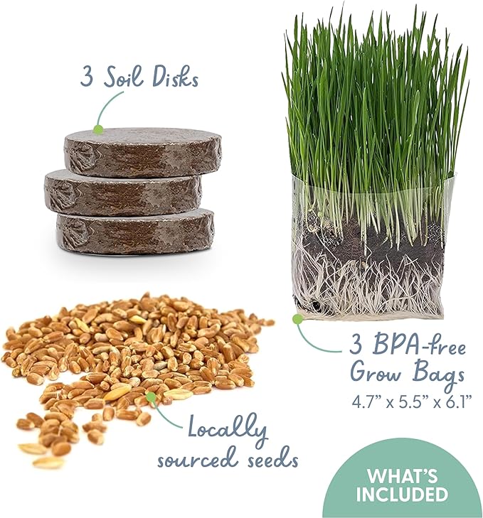 The Cat Ladies Cat Grass Grow Bag Kit, Organic Cat Grass for Indoor Cats, Cat Grass Seeds, Soil & Grow Bags 3 Pack