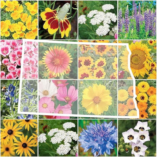 Eden Brothers North Dakota Wildflower Mixed Seeds for Planting, 1 lb, 480,000+ Seeds with Calendula, Sunflower | Attracts Pollinators, Plant in Spring or Fall, Zones