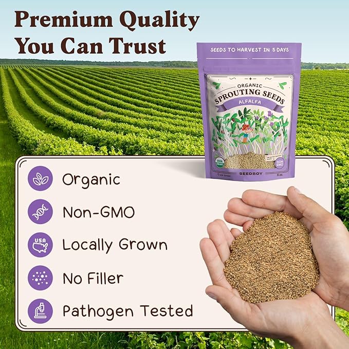 Organic Alfalfa Seeds for Sprouting - Non-GMO, USA Grown Alfalfa Microgreens Sprouting Seeds Mix - Makes 8 Quarts of Sprouts, 24 Servings (8 oz) (Alfalfa)