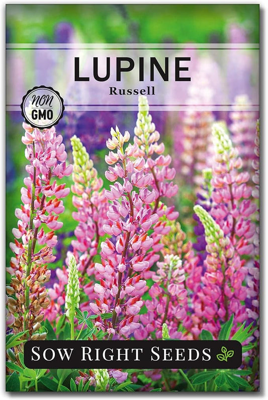 Sow Right Seeds - Russell Lupine Seeds for Planting - Non-GMO Heirloom Packet with Instructions to Plant in Your Garden - Perennial Flower to Attract Hummingbirds and Bees - Spiked Wildflower Mix (1)
