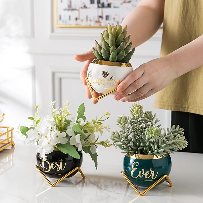 PeraBella Grandma Gifts, Gifts for Grandma Birthday Gifts, Thoughtful Gifts for Grandma, Grandmother Gifts Ideas - 3 Succulent Pots