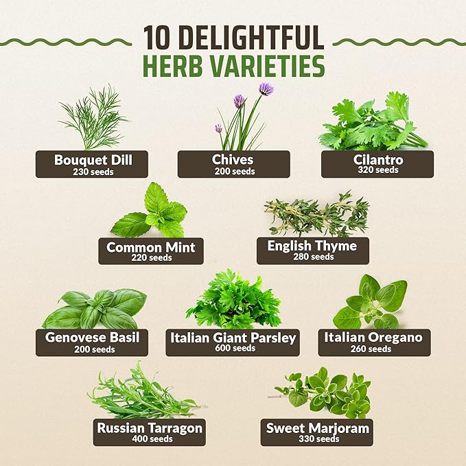 Rooted Acre Culinary Herb Seed Vault - Herbs Seeds for Planting Indoor or Outdoor Garden - Heirloom, Non GMO | Hydroponic Herb Garden Seeds with High Germination