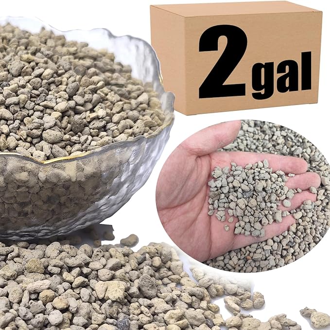 Organic Pumice for Bonsai and Horticultural 100% Natural (2 gallons, 1/4 inch)