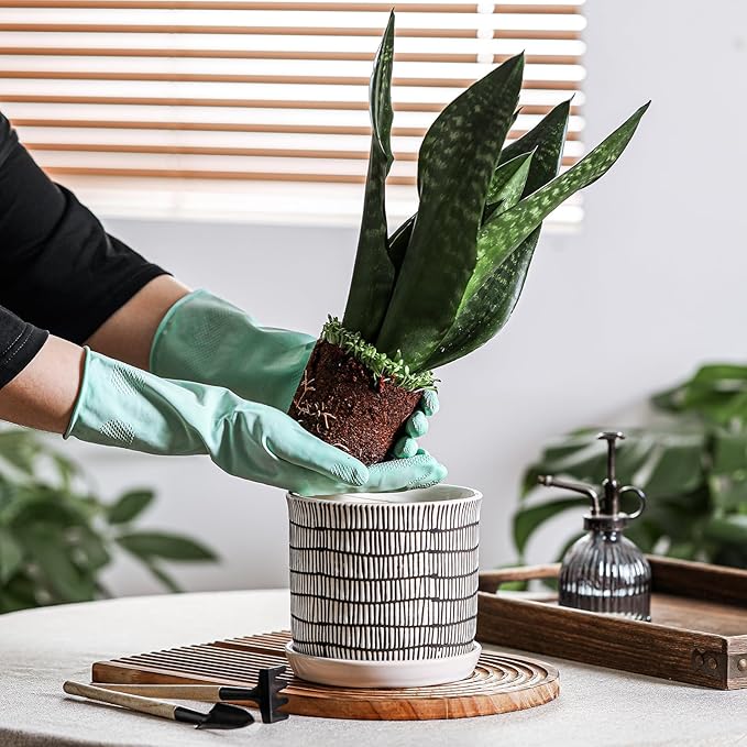 6 Inch Plant Pot: Ceramic Planter with Drainage Hole & Saucer - Cylinder Flowerpot for Indoor & Outdoor Plants - with Separate Tray for Home & Office - Striped Design