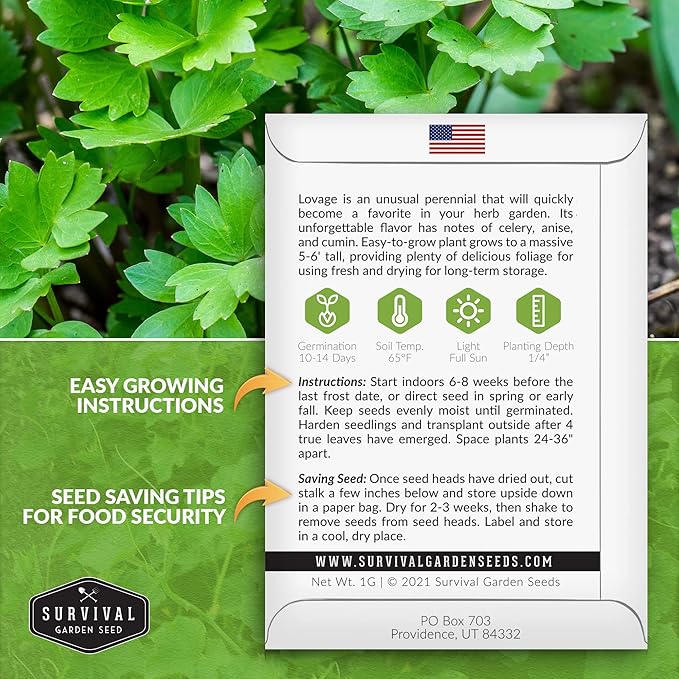 Survival Garden Seeds - Lovage Seed for Planting - 1 Pack with Instructions to Plant and Grow Perennial Levisticum Officinale Culinary Herb in Your Home Vegetable Garden - Non-GMO Heirloom Variety