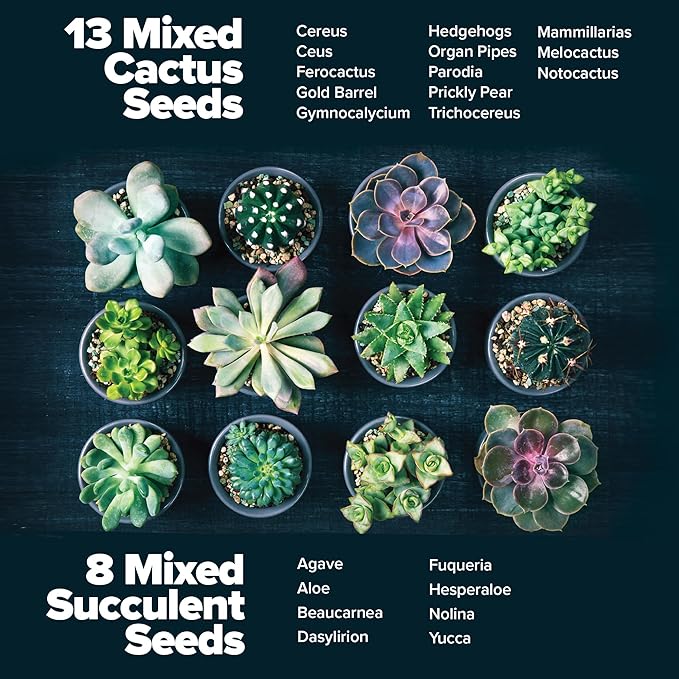 HOME GROWN Succulent & Cactus Seed Kit for Planting – Premium Starter Kit with 4 Planters, Drip Trays, Markers, Seed Mix, and Soil - Perfect DIY Gift for Plant Enthusiasts
