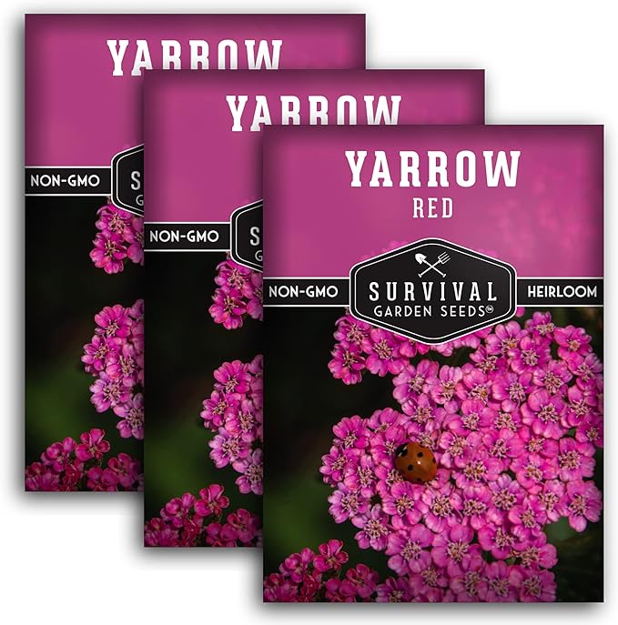 Red Yarrow Seed for Planting in The Garden - 3 Packs with Instructions to Plant and Grow Common Yarrow - Medicinal Herb Wildflowers - Heirloom, Non-GMO, Open-Pollinated Seeds for The Survival Garden