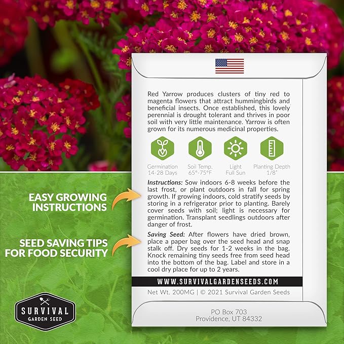 Red Yarrow Seed for Planting in The Garden - 2 Packs with Instructions to Plant and Grow Common Yarrow - Medicinal Herb Wildflowers - Heirloom, Non-GMO, Open-Pollinated Seeds for The Survival Garden