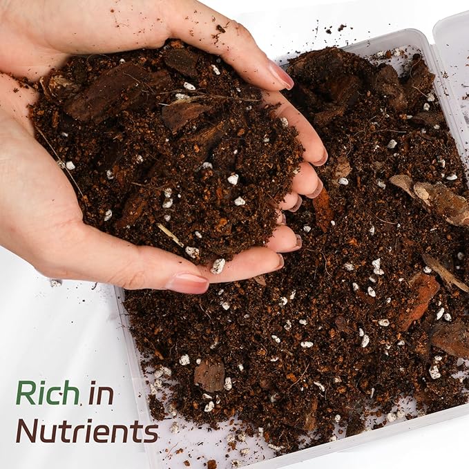 Organic Fiddle Leaf Fig Potting Mix 2qt, Indoor Plants Potting Mix for All Potted Ficus Lyrata Plant, Grow Healthy houseplants Indoors