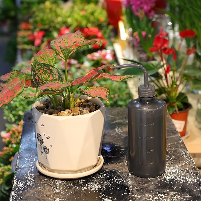 Oubest Squeeze Bottles Succulent Watering Bottle Black Water Squirt Irrigation Bottle Squeeze Sprinkling Can Plastic Wash Plant Bottle 500ml 2pc