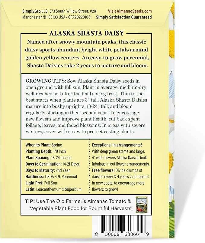 The Old Farmer's Almanac Daisy Seeds (Shasta Alaska) - Approx 700 Flower Seeds - Non-GMO, Premium, Open Pollinated