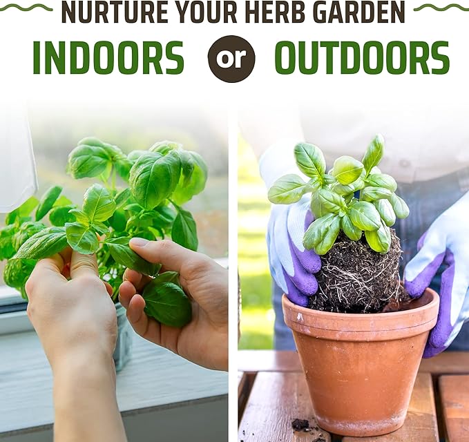 Rooted Acre Culinary Herb Seed Vault - Herbs Seeds for Planting Indoor or Outdoor Garden - Heirloom, Non GMO | Hydroponic Herb Garden Seeds with High Germination