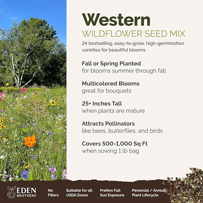 Eden Brothers Western Wildflower Mixed Seeds for Planting, 1 lb, 480,000+ Seeds with Cornflower, Blanket Flower | Attracts Pollinators, Plant in Spring or Fall, Zones 3, 4, 5, 6, 7, 8, 9, 10