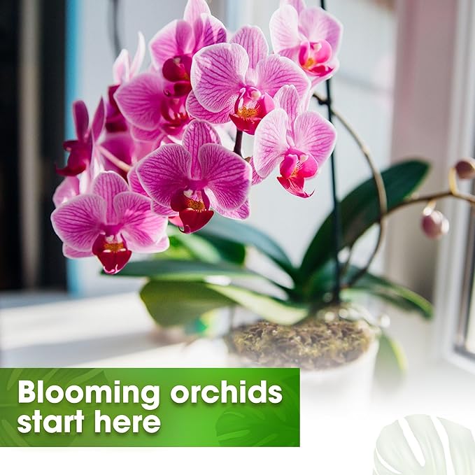 DUSPRO Orchid Potting Mix for Repotting with Moss Pine Bark Mulch Perlite & Coco Peat Natural Ingredients, Orchid Bark Potting Mix, Orchid Repotting Kit Drainage Indoor Potting Medium Great 20QT