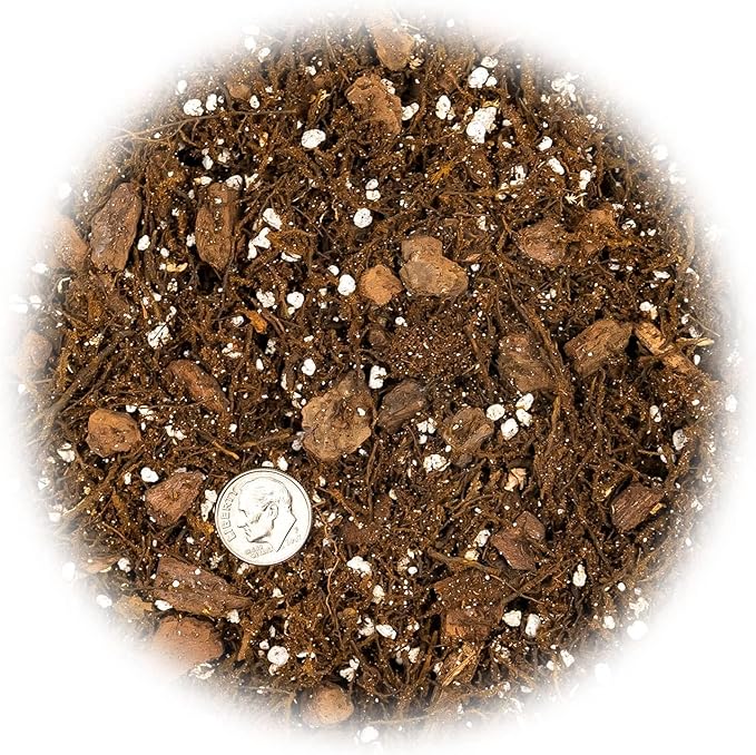 Premium Gardenera House Plant Potting Mix - 20 Quart - Fern + New Zealand Bark + Perlite | Great for Pothos, Spider Plants, Montsera, Philodendron, English Ivy (4 Bags of 5 Quart)