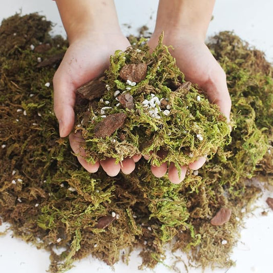 6QT Orchid Potting Mix with Moss Pine Bark Mulch Perlite & Coco Peat Natural Ingredients, Orchid Repotting Soil Medium Great for Indoor Plant Root Climbing & Expanding