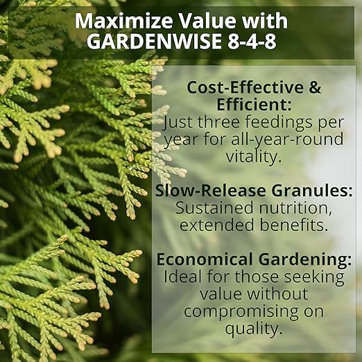 8-4-8 Acidic Fertilizer for Azaleas, Camellias (Camelia), Hydrangeas, Blueberries, Gardenias, Magnolia Trees, Evergreens, and Rhododendrons - Ideal Iron-Rich Plant Food (1 Quart)