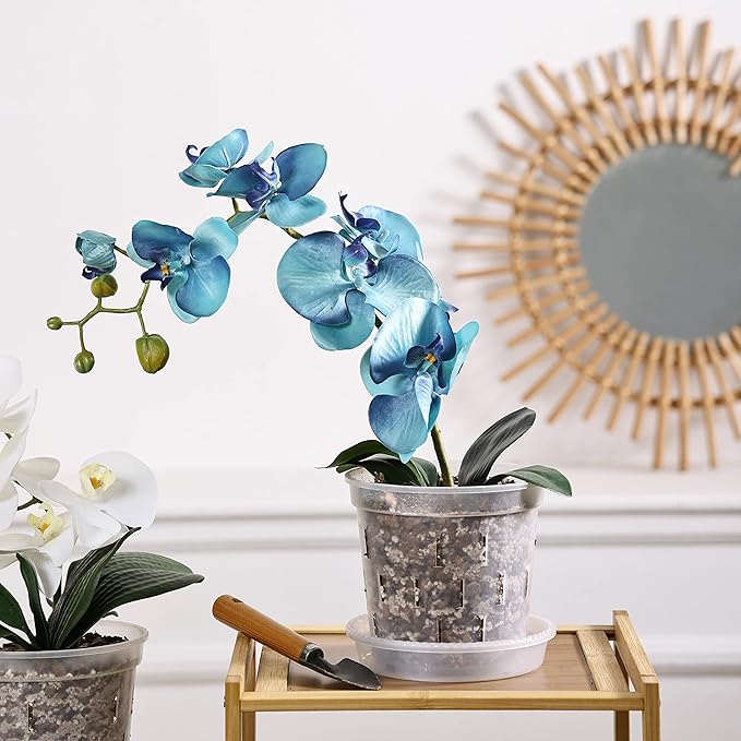 TRUEDAYS 6 Pack Orchid Pot with Saucers, 6 Inch Clear Orchid Pots with Holes, Plastic Planter with Trays, Breathable Slotted Orchids Planters for Indoor Outdoor Plants