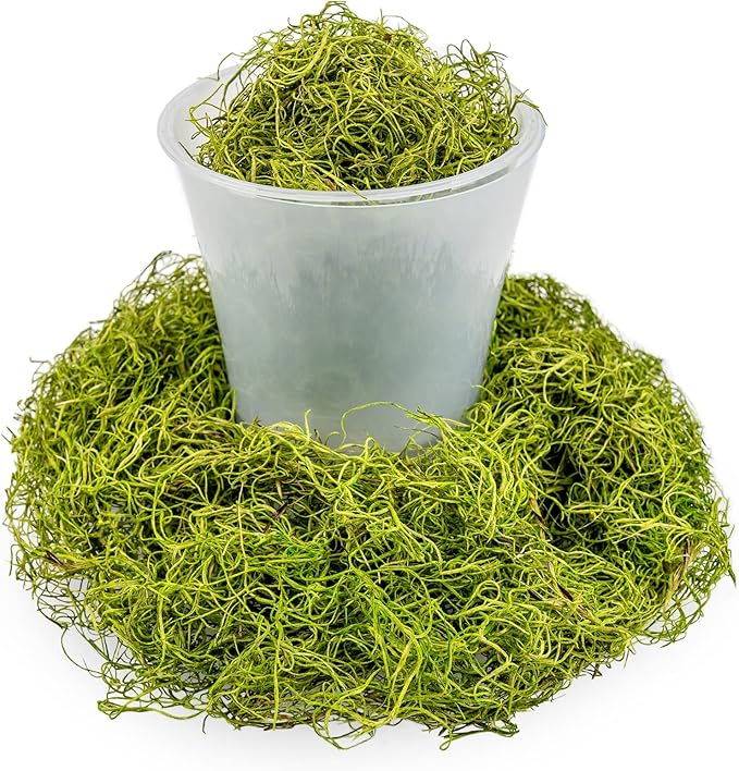 Premium Spanish Moss in Spring Green| Natural Preserved - Great Ground Cover - Filler for Potted Plants - by GARDENERA - 2 Quart Bag