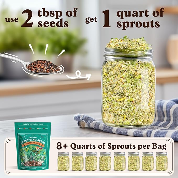 Organic Sprouting Seeds - Superfood Blend - Non-GMO, USA Grown Microgreens Mix - Broccoli, Radish, Pak Choi, Clover, Red Kale - Makes 8 Quarts of Sprouts, 24 Servings (8 oz) (Superfood Blend)