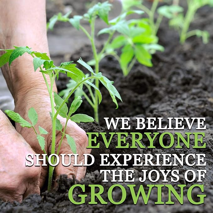 Mountain Valley Seed Co Slow Bolt Cilantro Herb Garden Seeds: 5 Gram Packet - Non-GMO Micro Greens & Herbal Gardening Seeds