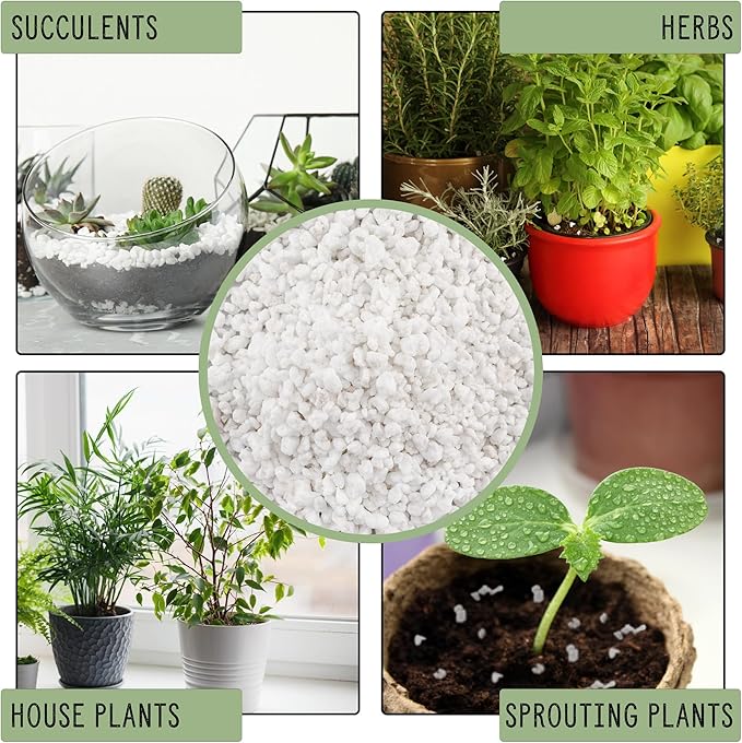 Horticultural Perlite Soil Additive (12 Quarts); for Enhanced Potting Mix Drainage and Growth
