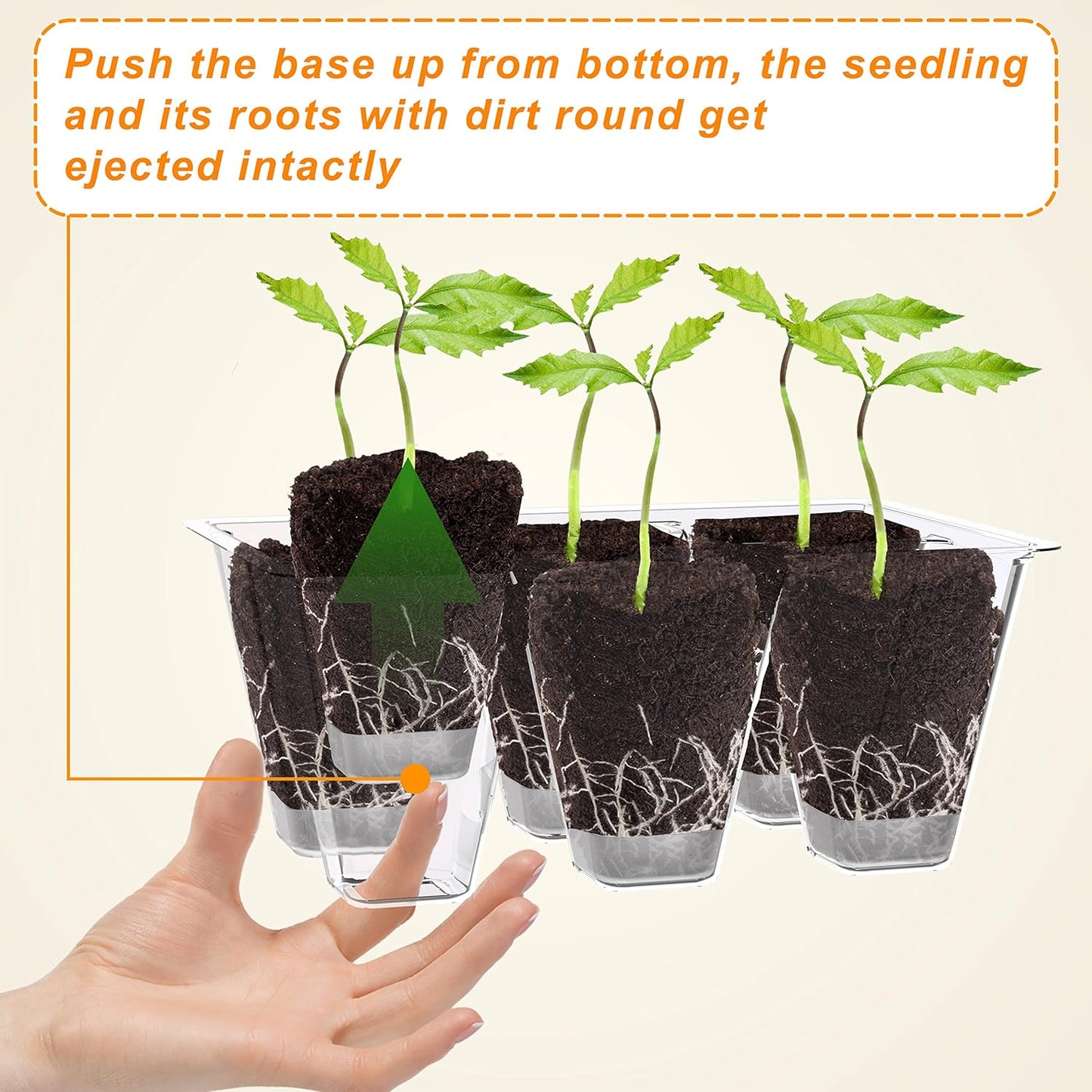 Gardzen 10 Pack Push-Up Seed Starting Tray, Pop Up Plant Germination Trays, Seed Starter Kit with Adjustable Humidity Vented Dome, 6.6" x 4.5", Total 120-Cell, Clear