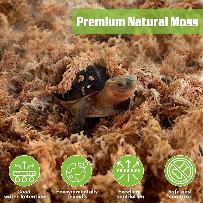 ZeeDix 170g Sphagnum Moss for Plants, 8QT Natural Long Fibered Sphagnum Peat Orchid Moss Bulk for Carnivorous,Orchids,Sarracenia,Succulent,Venus Fly Traps and Reptiles