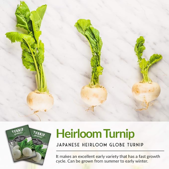 Survival Garden Seeds - Turnip Snowball Seed for Planting - 3 Packs with Instructions to Plant and Grow Root Vegetables and Greens in Your Home Vegetable Garden - Non-GMO Heirloom Variety - Seed Vault