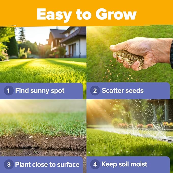 90,000 Wildflower Seeds - 3oz Pure Wild Flower Seed Pack - 25 Variety - Perennial Flower Seeds for Attracting Birds & Butterflies - Open Pollinated, Flower Garden Seeds for Planting Outdoors