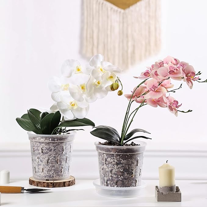 TRUEDAYS 4 Pack Orchid Pot with Saucers, 6 Inch Clear Orchid Pots with Holes, Plastic Planter with Trays, Breathable Slotted Orchids Planters for Indoor Outdoor Plants