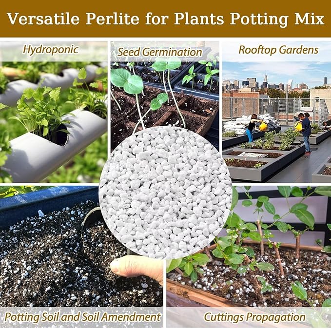 Riare 20 Quarts Organic Perlite for Plants - Horticultural Perlite Soil Amendment for Plants Potting Mix, Natural Chunky Perlite Soil Additive Conditioner Improve Root Growth, Drainage and Ventilation