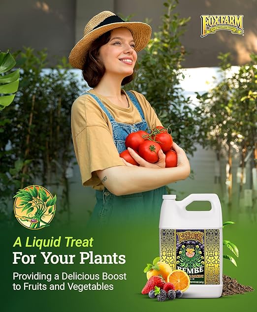 Foxfarm Bushdoctor Bembé Concentrate, Fast-Acting Liquid Plant Fertilizer, Enhances Natural Sugars for Sweetness and Flavor - Easy Absorption for Soil, Containers, and Hydroponics- NPK 0-1-3 (Gallon)