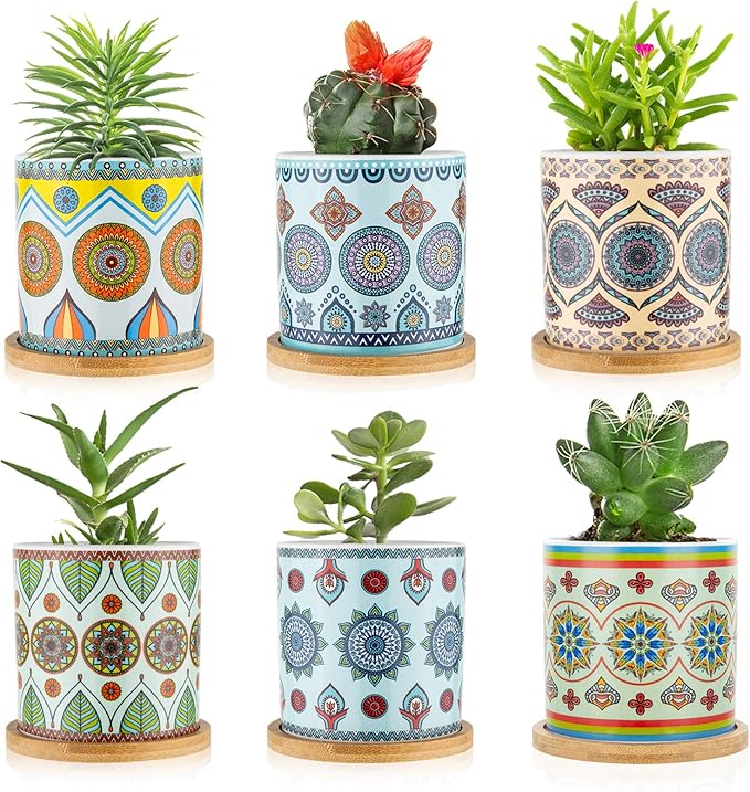 Succulent Plant Pots - 3.1 inch Ceramic Succulent Planter -Cylinder Flower Pots for Cactus with Drainage Hole and Bamboo Tray, 6 Pack、Plants not Included (Multicolor2)
