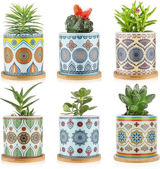 Succulent Plant Pots - 3.1 inch Ceramic Succulent Planter -Cylinder Flower Pots for Cactus with Drainage Hole and Bamboo Tray, 6 Pack、Plants not Included (Multicolor2)