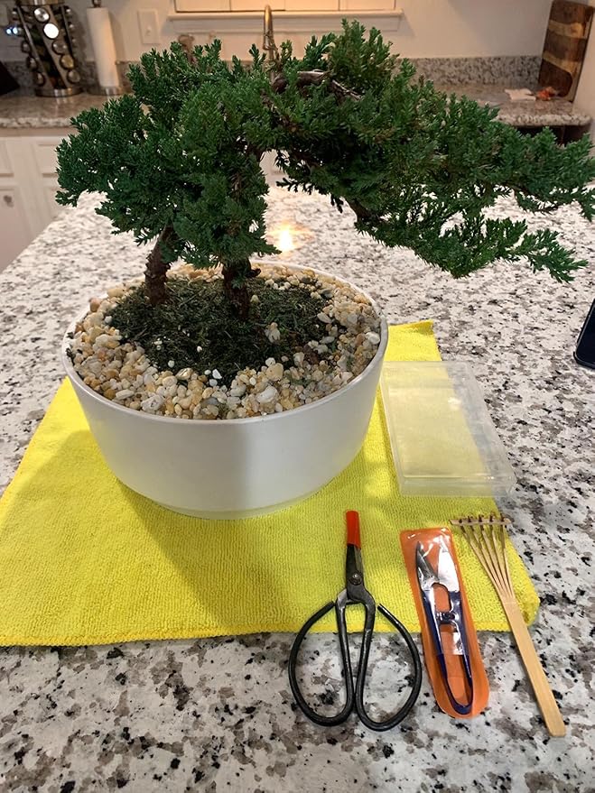 Kebinfen® Bonsai Tree Pruning Trimming Starter Tool Kit - Pruning Scissors, Bonsai Scissors for Bud & Leaves Trimmer, Bamboo Rake - Set of 3