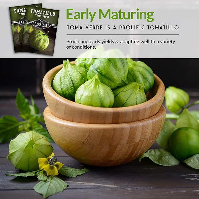 Survival Garden Seeds - Toma Verde Tomatillo Seed for Planting - 2 Packs with Instructions to Plant & Grow Green Salsa Vegetables in Your Home Vegetable Garden - Non-GMO Heirloom Variety Salsa Seeds