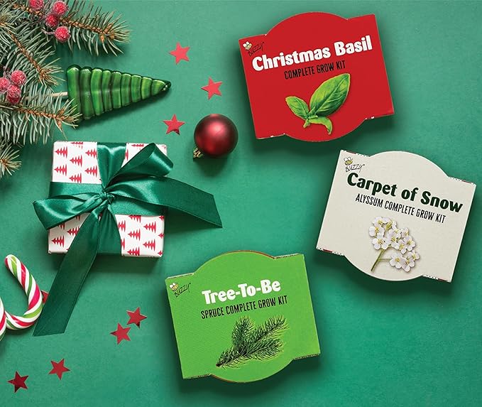 Buzzy Seeds Holiday Sweater Terracotta Mini Grow Pots | Assorted 12-Pack | Christmas Basil, Spruce, Alyssum | Herb Starter Kit for Kids & Adults | Guaranteed To Grow | Gifts, Favors, Stocking Stuffers