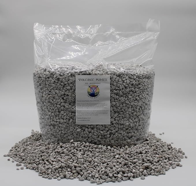 Horticultural Pumice - 14 Dry quarts - Cactus Succulent Soil Amendment
