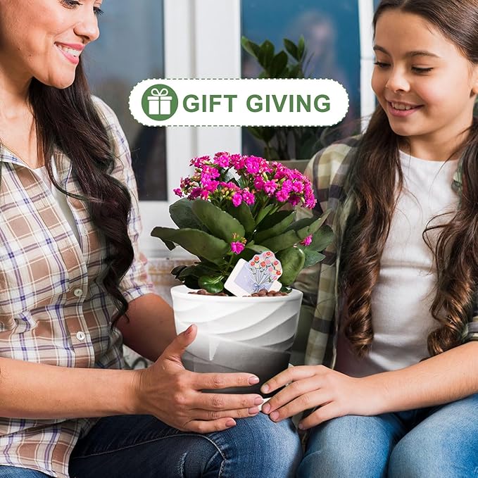 6.7 + 5.5 Inch Plant Pot, Ceramic Planter with Drainage and Saucer，Ceramic Pots for Plants, Indoor Plant pots，Ceramic Flower pots(Dark Gray+White)