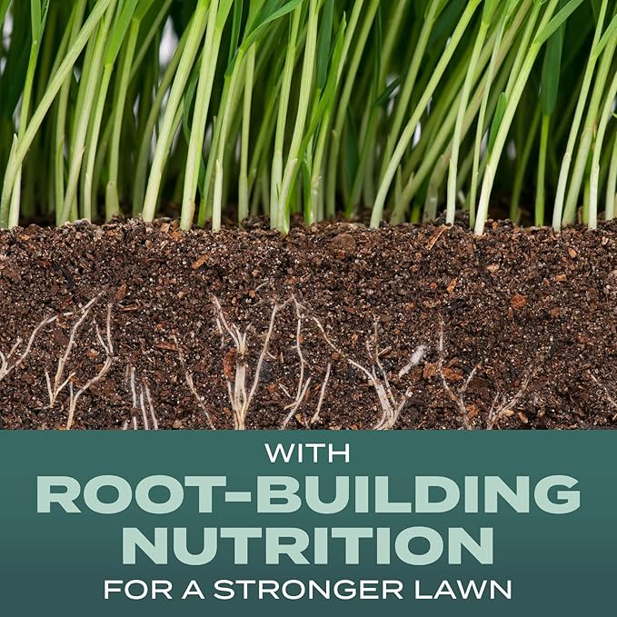 Scotts Turf Builder Grass Seed Dense Shade Mix with Fertilizer and Soil Improver, Grows With Little Sunlight, 2.4 lbs.