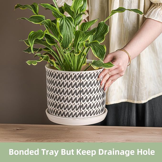 8 Inch Plant Pot: Ceramic Planter with Drainage Hole & Saucer for Indoor Outdoor Plants - Flowerpot with Bonded Tray for Home Office - Wave Stripe Debossed