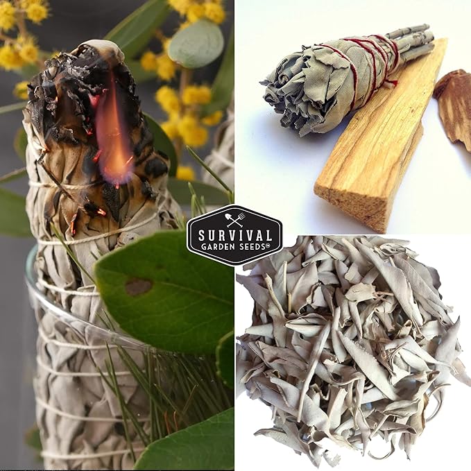 Survival Garden Seeds - 5 Packs White Sage Seed for Planting - Grow Sustainable Smudging Herbs - Packet with Instructions to Plant & Grow in Your Home Garden - Non-GMO Heirloom Variety