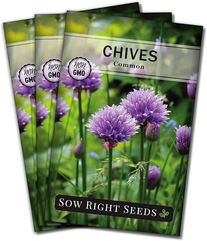 Sow Right Seeds - Common Chives Seed for Planting - Non-GMO Heirloom Packet with Instructions to Plant and Grow Kitchen Herb Garden Indoor or Outdoor - Mild Onion Flavor (3)