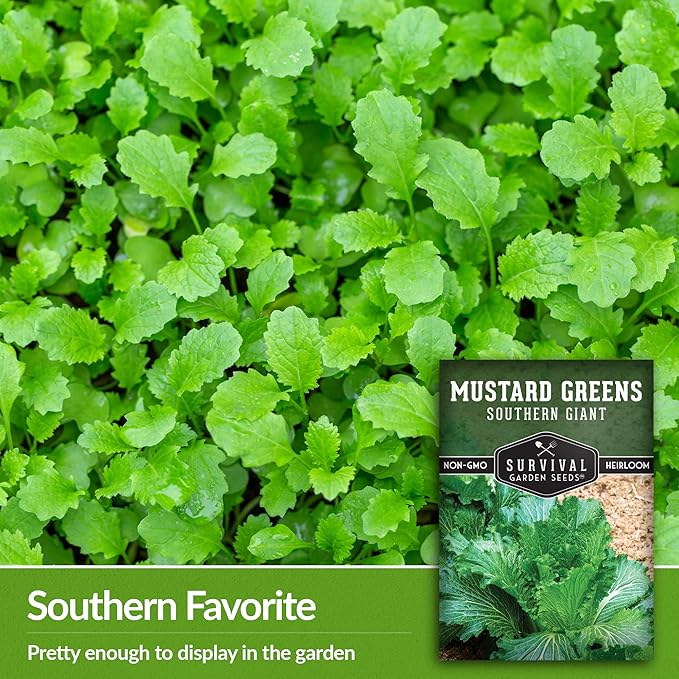 Survival Garden Seeds - Southern Giant Mustard Greens Seed for Planting - Packet with Instructions to Grow Spicy Brassica Juncea Leaves in Your Home Vegetable Garden - Non-GMO Heirloom Variety