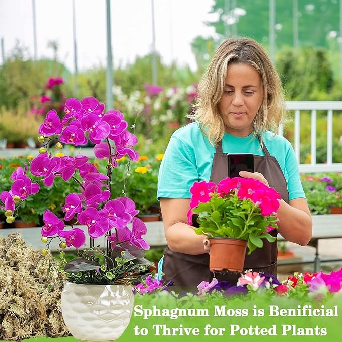 ZeeDix 4QT Natural Orchid Moss Sphagnum for Potting Mix, 3OZ Sphagnum Moss for Moss Pole Repotting Carnivorous Succulent Gardening Plants Reptiles, Dried Long Fibered Sphagnum Moss for Plants Indoor